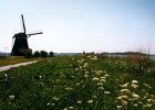 2001 05 24 molen 2